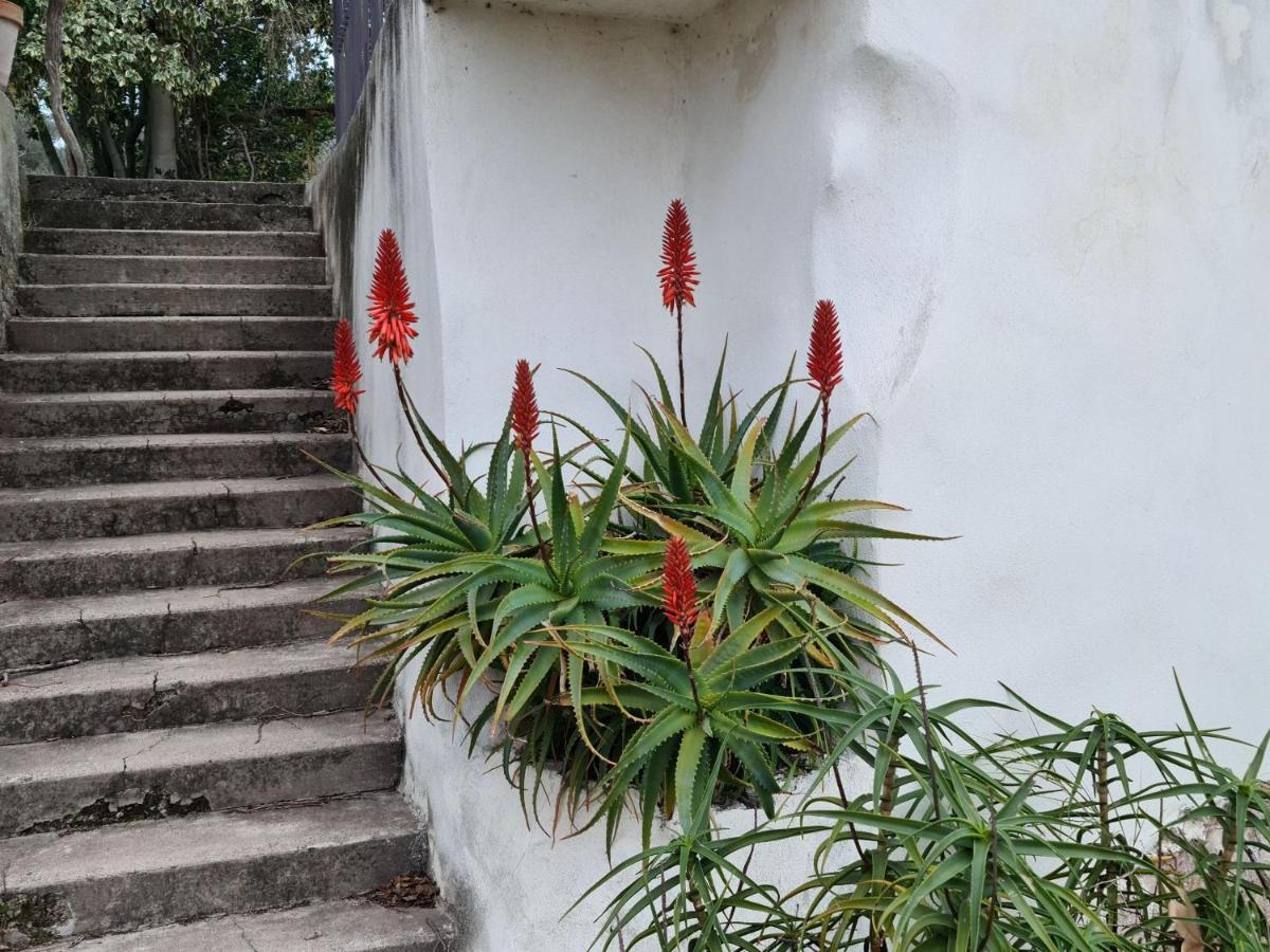 Gite Zen Carnoules  Ngoại thất bức ảnh